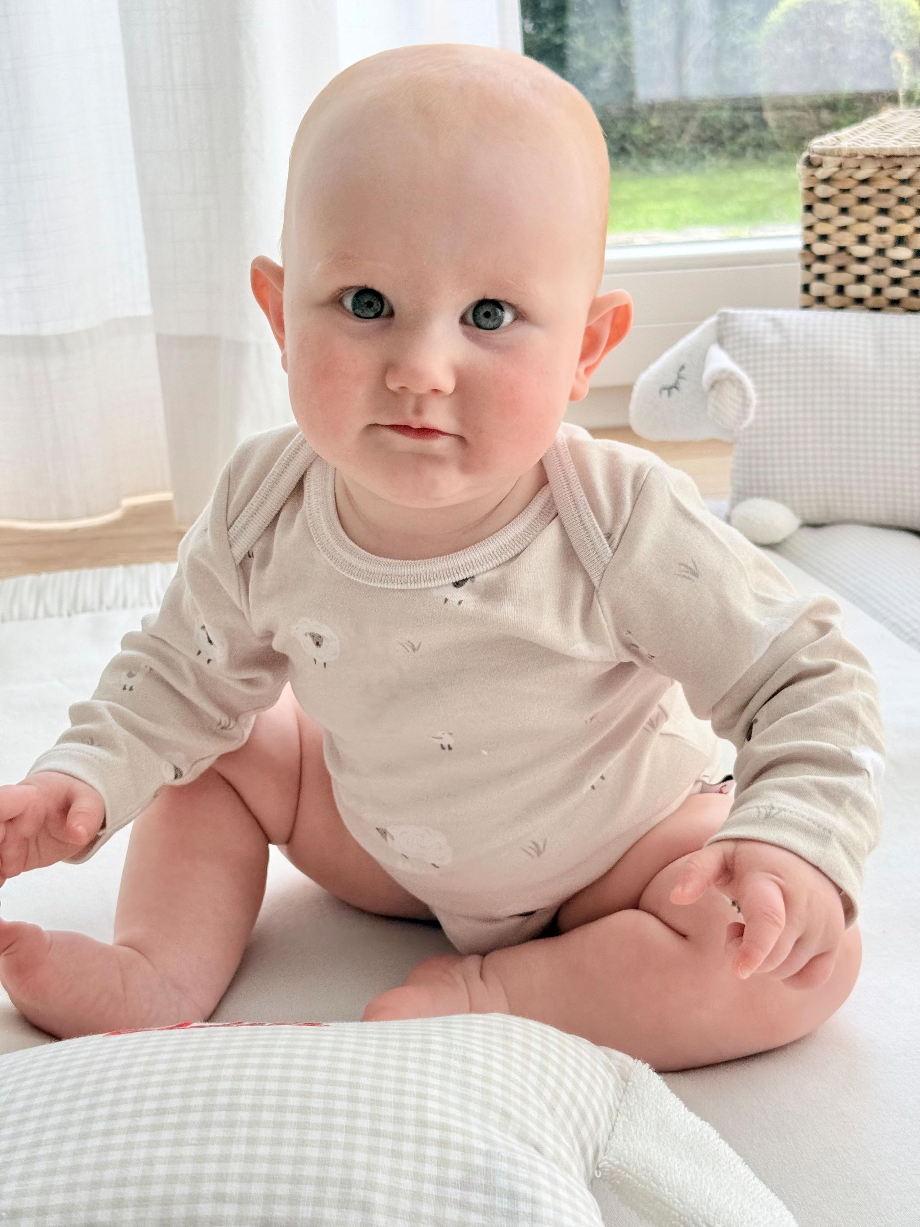 Babyset Schaf 62/68 aus Bio-Baumwolle | Geschenk zur Geburt mit Body, Beanie & Halstuch