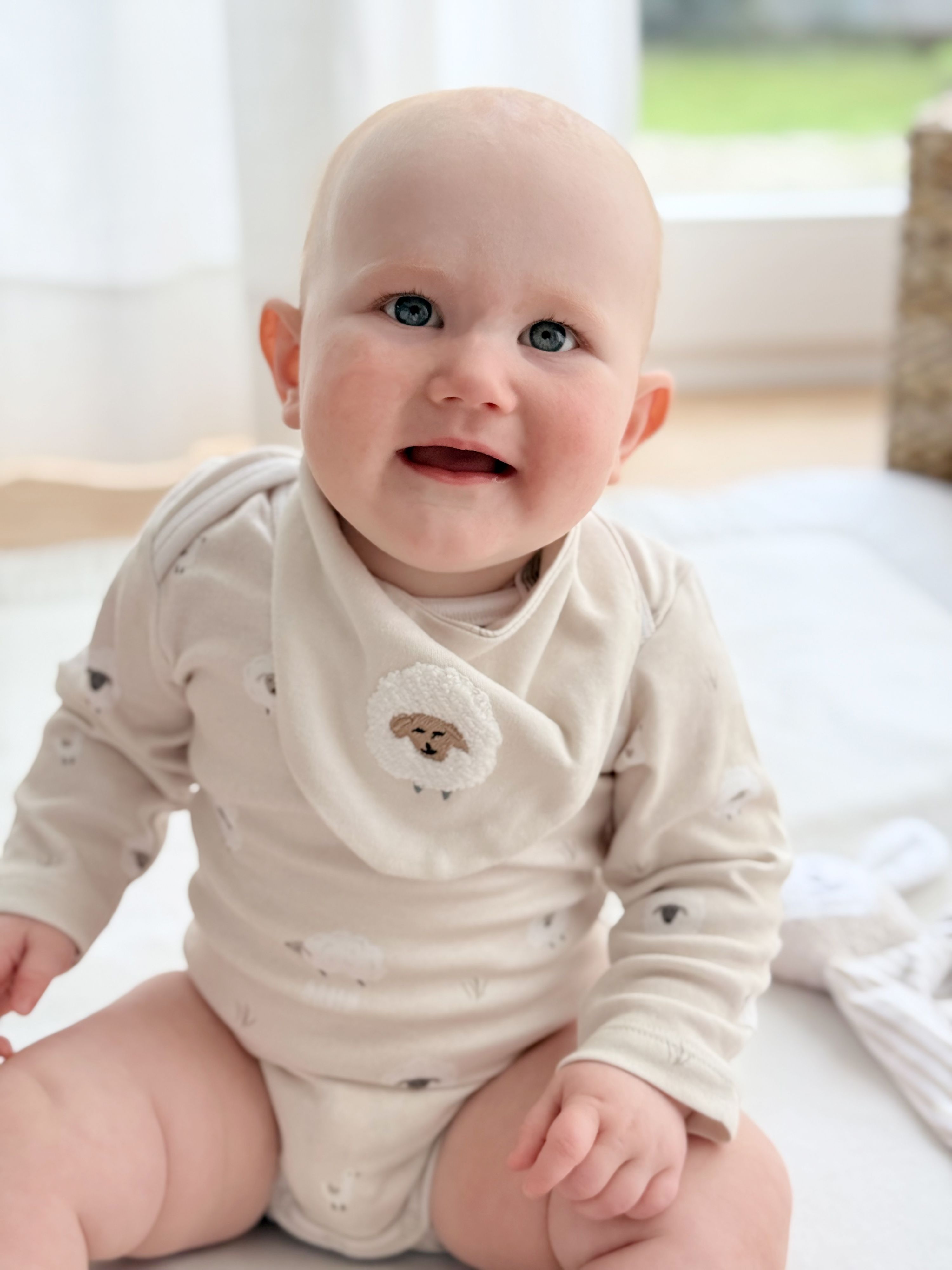 Babyset Schaf 62/68 aus Bio-Baumwolle | Geschenk zur Geburt mit Body, Beanie & Halstuch